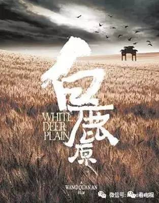 艺、13部电视剧一线全盘点AG真人试玩平台11档综(图2) 艺、13部电视剧一线全盘点AG真人试玩平台11档综(图2)